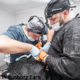 How Much Do Dentists in Sunbury Earn in Australia? The Complete Salary Guide