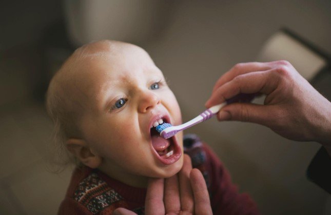 Paed Dentist Near Me Complete Guide to Children's Dental Care