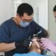 Bulk Billing Dentist Sunbury | Affordable Dental Care Guide